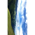 风景297