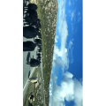 风景300