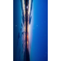 风景308