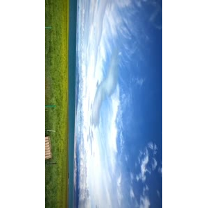 风景310