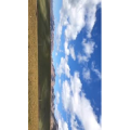 风景315