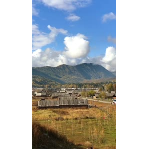风景319