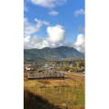 风景319