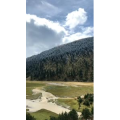 风景324