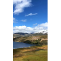 风景325