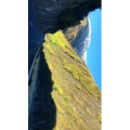 风景337
