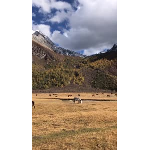 风景344