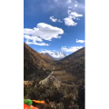 风景350