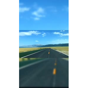 风景355