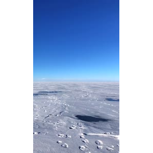 风景366