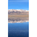 风景367