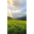 风景373