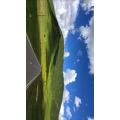 风景377