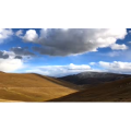 风景382
