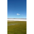 风景390