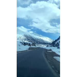 风景391