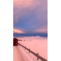 风景397