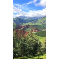 风景402