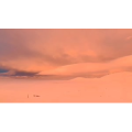 风景405