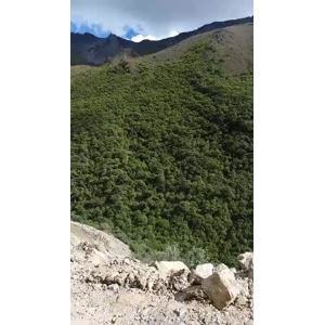 风景423