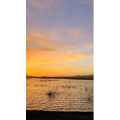 风景437