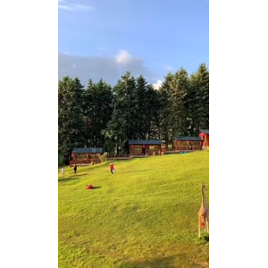 风景438