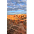 风景443