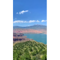风景459