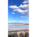 风景461