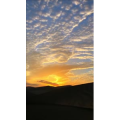 风景463