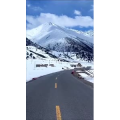 风景464