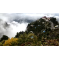 风景468
