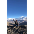 风景479