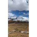风景484