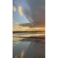 风景491