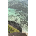 风景516