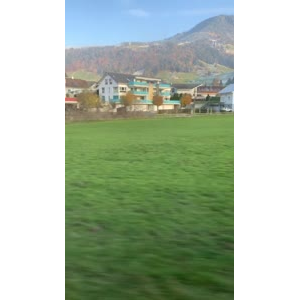 风景530