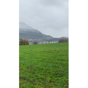 风景540
