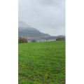 风景540