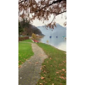 风景544