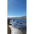 风景545