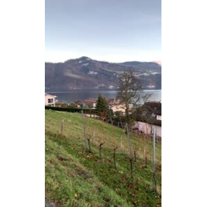 风景553