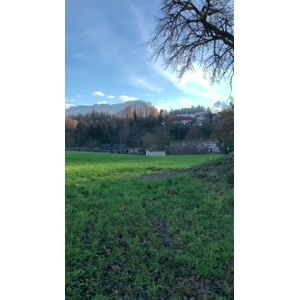 风景554