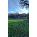 风景554