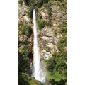 风景557