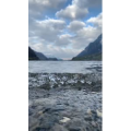 风景565