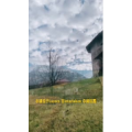风景566