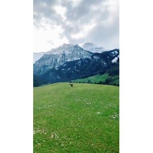 风景574