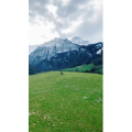 风景574