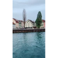 风景577